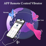 APP-Controlled Wearable Butterfly Vibrator – Dual Motor, 9+9 Modes, Pink