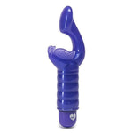 GKiss Purple Clitoral and G Spot Vibrator for Women, 3 Speeds and 4 Patterns