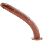 Anal Plug Training Sets + 16.5 Inch Super Long Realistic Dildo