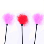 Sex Toy Adult Sex Tickler Fun Feather Brush Couple Flirting Soft Feather Scratching Sex Feathers Ticker Adult Role Playing Toys (Black)