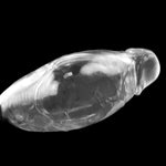 Super Stretchy Reusable Penis Sleeve Extender, 3Pcs Clear Realistic Textured Cock Enlargers Soft Adults Sex Toys For Men Couple