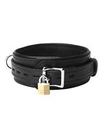 Heavy Duty Collar