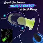 Remote Control Vibrating Anal Plug, 10 Modes Prostate Massager for Men & Women