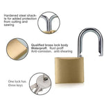 Small Metal Padlock Solid Brass For Male Chastity Device Cock Cage With Keys 3 Chastity Cage Accessories
