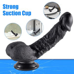 Realistic Dildos Adult Sex Toys (M) + 15.7Inch Huge Anal Plug