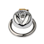 Male Chastity Device Cock Cage With Curved Ring Sissy Sex Toys Chastity Cage With Invisible Lock And 2 Keys Metal Chastity Belt For Man Penis Restraints Stainless Steel Penis Lock (1.96In)