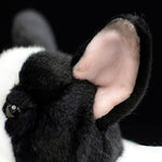 Realistic French Bulldog Stuffed Animal - Black 10.24" Plush Toy, Hugging Companion For Dogs, Boys, Girls, Kids - Home Decor
