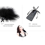 Feather Tickler And Leather Slapper Costume Accessory (Black)