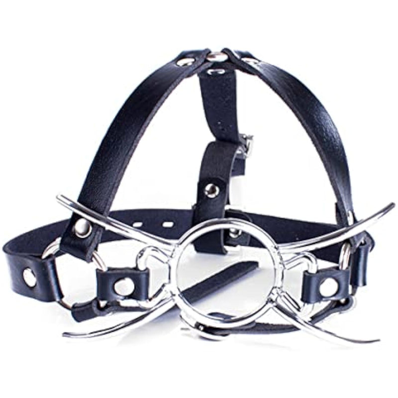 Y-Shape Restraint Head Harness With Metal Spider Ring Gag Bondage Mouth Gags Sex Toys For Couples (Silver)