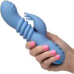 California Dreaming Santa Cruz 'Coaster