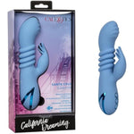 California Dreaming Santa Cruz 'Coaster