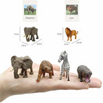 Small Montessori Animal Figures With Flash Cards, Realistic Animal Figurines Toys, Montessori Materials Homeschool Preschool Science Educational Matching Game For Toddler Kids (Zoo)