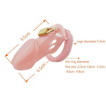 Male Chastity Cage In Pink, Incl 5 Different Size Rings And A Padlock And Key. (Chastity Cage Men, Chastity Device Male, Dominatrix Sex Toys)