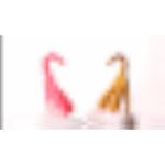 Full-Size Pink Clitoris Model for Education and Decoration