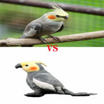 Cockatiel Plush Toy, 7 Inch Super Soft Realistic Realistic Parrot Plush Stuffed Animal Cute Kids Birthday Ornament Collection Use For All Ages And Occasions
