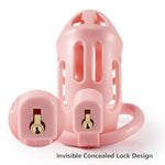 Male Hollow Chastity Cage Bondage Set, Cock Cage With Carabiner And 2 Keys, Invisible Lock Design, Penis Sm Fetish Adult Sex Toys For Men (Pink)