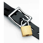 Isabella Sinclaire Interchangeable Silicone Ball Gag Set