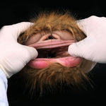 Animal Male Masturbators Cup With Removeable Fur, Tiger Lifelike Pocket Pussy Stroker Sucking Sex Toy For Man Silicone Dual Channel Realistic 3D Sleeve, Male Masterbaters For Man Pleasure
