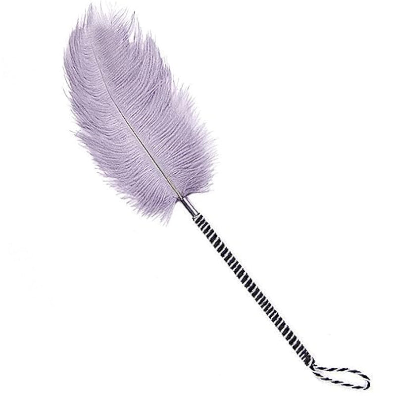 Sm Feather Ticklers Teasers Couples Tickle Props Feathers Flirting Tickler Adult Toy Sex Feather Toy For Teasing Sex Toy