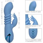 California Dreaming Santa Cruz 'Coaster