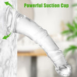 9.45 inch Realistic Huge Thick Horse Dildo No Balls?Soft Clear Dildo Animal Dildos with Strong Suction Cup for G Spot and Anal Play Large Anal Dildos Adult Sex Toy for Women Men Gay (M)
