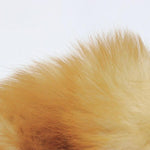 Fox Tail Anal Plug & Fashion Charm: Detachable, Easy-Clean Stainless Steel (Medium Plug, Orange)