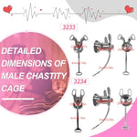Chastity Devices Clip With Auxiliary Strap Flat Negative Cock Cage Adult Penis Sm Bondage Sissy Sex Toys Chatity Panties With Concealed Locks For Men & Gay (Black,3234+Belt)