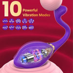 Remote Control Vibrator Sex Toys, G Spot Wearable Panty Bullet Vibrators With 10 Vibration Modes For Clitoral Or Anal Stimulator, Long Distance Rose Mini Adult Sex Toy For Women Or Couples Pleasure
