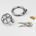 Stainless Steel Male Chastity Device Tease Locked Cock Cage Penis Exercise For Men Silver (1.96 Inch)