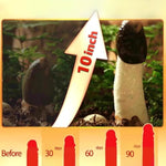 Penisgrowth Men'S Enhancement Cream - Increase Length & Girth, Longer Thicker Dick, Penile Health Cream For Size & Extender