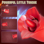 Clitoral & Vagina Sucking Vibrator with 5 & 10 Modes for Quick Pleasure.