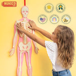 This Is Me! Human Body Model For Kids – Extra Large Felt Anatomy Set With 30 Detachable Organs & Bones – Montessori Organ Match For Homeschool Anatomy, Classroom Science & Educational Gift
