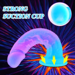 5-Piece Colorful Blue Purple Fantasy Dildo Set (6", 7", 8", 9", 10"), Realistic Silicone Small Big Huge G-Spot Dildo With Suction Cup, Prostate Dildos Anal Butt Plug Adult Sex Toys For Beginners Women