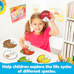 Life Cycle Toys For Kids,Animal Plant Insect Bug Ladybug Butterfly Tadpole To Frog Kit,Montessori Learning & Education Toys,Preschool Science Learning Activities For Toddlers,Board Card Games