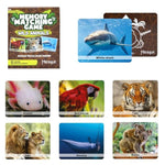 Wild Animals Memory Matching Game – 80 Cards (40 Pairs) With Real Photos – Includes Educational Booklet With Animal Facts – Fun & Cognitive Game For Kids And Adults