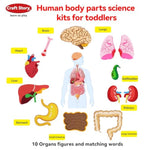 Teaching Body Parts Felt Board Stories For Toddlers, Arts Crafts Toys For Kids Sensory Activities Teacher Daycare Supplies