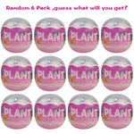 6 Pack Random Succulent Plants Building Block Toys In Plastic Eggs Blind Packaging For Kids Boys Girls Teens Christmas Stocking Stuffers Gifts Party Favors