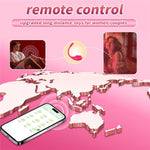 App Remote Control Vibrator Adult Sex Toys, Long Distance Wearable G-Spot Clitoral Vibrators Dildo With 10 Vibrations, Mini Panty Vibrator Anal Plug Female Sexual Pleasure Tools For Women Couples