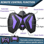 Large Remote Control Dinosaur Toys Kids - Jurassic Velociraptor Toys Imitates Walking And Sounds - Robot Toys That Can Sing, Shaking Head And Tail