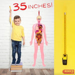 This Is Me! Human Body Model For Kids – Extra Large Felt Anatomy Set With 30 Detachable Organs & Bones – Montessori Organ Match For Homeschool Anatomy, Classroom Science & Educational Gift