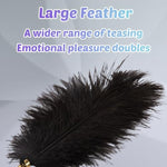 Bdsm Tool Feather Tickler For Sensual Play Premium Adult Bondage Set Sex Feather Toy For Couples