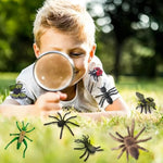 24Pcs Bug Toys Fake Plastic Bugs And Insects For Kids Toddler Halloween Birthday Party Favors Easter Valentines Basket Stuffers Goodie Bag Fillers April Fool'S Day Prank Gifts Fake Bugs Toys
