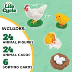 Life Cycle Animal Kit - Montessori Science Toy With 24-Piece Matching Game, Butterfly, Frog, Chicken, Bee, Ladybug & Turtle Stem Educational, Stocking Stuffers For Kids Ages 3-8