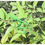 Big Insect Toy Plastic Model Lifelike Assorted Figures Realistic Insects Toys 12 Pcs Bee Beetle Mantis Spider Ladybug