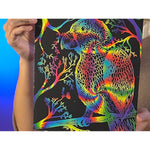 Rainbow Scratch Art Kit for Kids Ages 5-12
