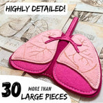 This Is Me! Human Body Model For Kids – Extra Large Felt Anatomy Set With 30 Detachable Organs & Bones – Montessori Organ Match For Homeschool Anatomy, Classroom Science & Educational Gift
