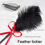 3 Pcs Sex Whip And Crop Set Bdsm Whip Leather Horse Crop Feather Tickler For Adults Bedroom Play Sex Play Toys For Couples
