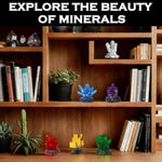 Mineral Building Set For Adults, 564Pcs Geology Crystal Collection Kit With 6 Gems Models – Home And Office Decor For Adult, Elegant Desk Décor & Idea Gift For Men & Women
