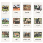 Small Montessori Animal Figures With Flash Cards, Realistic Animal Figurines Toys, Montessori Materials Homeschool Preschool Science Educational Matching Game For Toddler Kids (Zoo)
