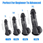 Realistic Dildos Adult Sex Toys (M) + 17.3 Inch Super Long Dildo